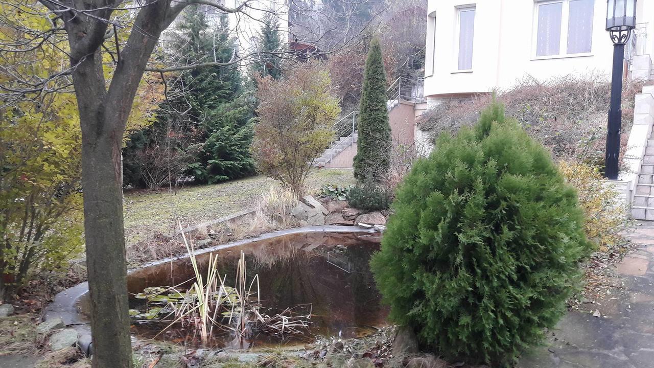 Villamerica Miskolc Luaran gambar